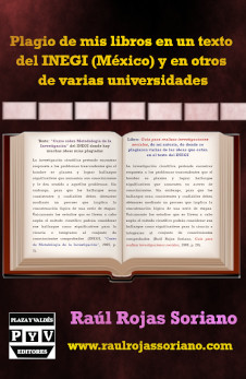 libro plagio de mis libros en un texto del INEGI México